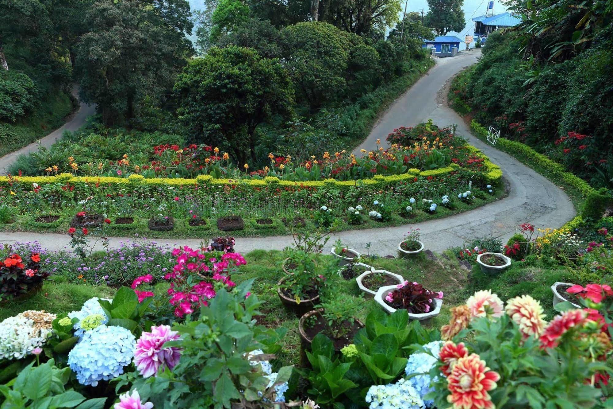Hotel Olive Brook Munnar Esterno foto