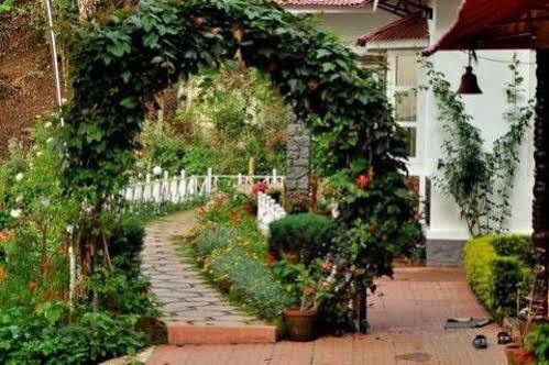 Hotel Olive Brook Munnar Esterno foto